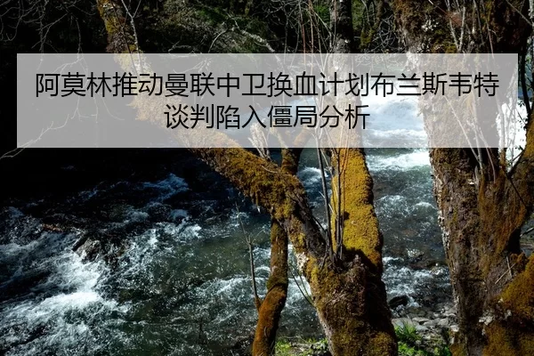 阿莫林推动曼联中卫换血计划布兰斯韦特谈判陷入僵局分析