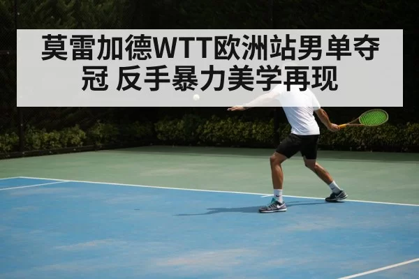莫雷加德WTT欧洲站男单夺冠 反手暴力美学再现